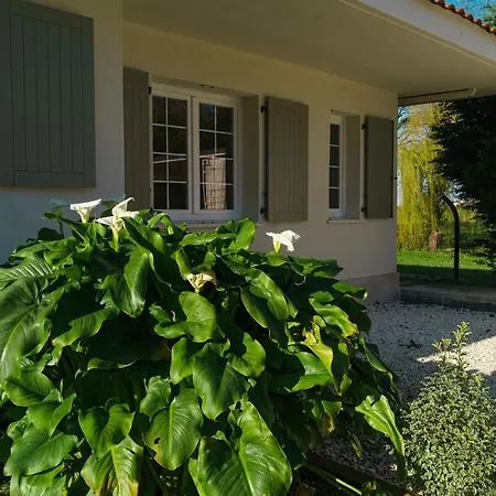 Вилла Maravillosa Casa Con Porche Y Jardin *